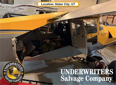 N255Z - 2019 AviPro Bearhawk 4 PL