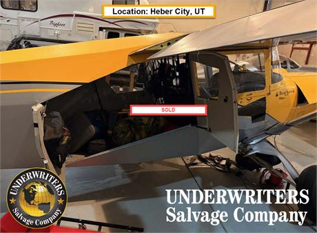 N255Z - 2019 AviPro Bearhawk 4 PL